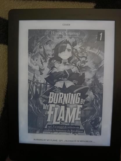Burning by my flame, tome 1, J'ai essayé de réduire en cendres la forteresse du roi démon